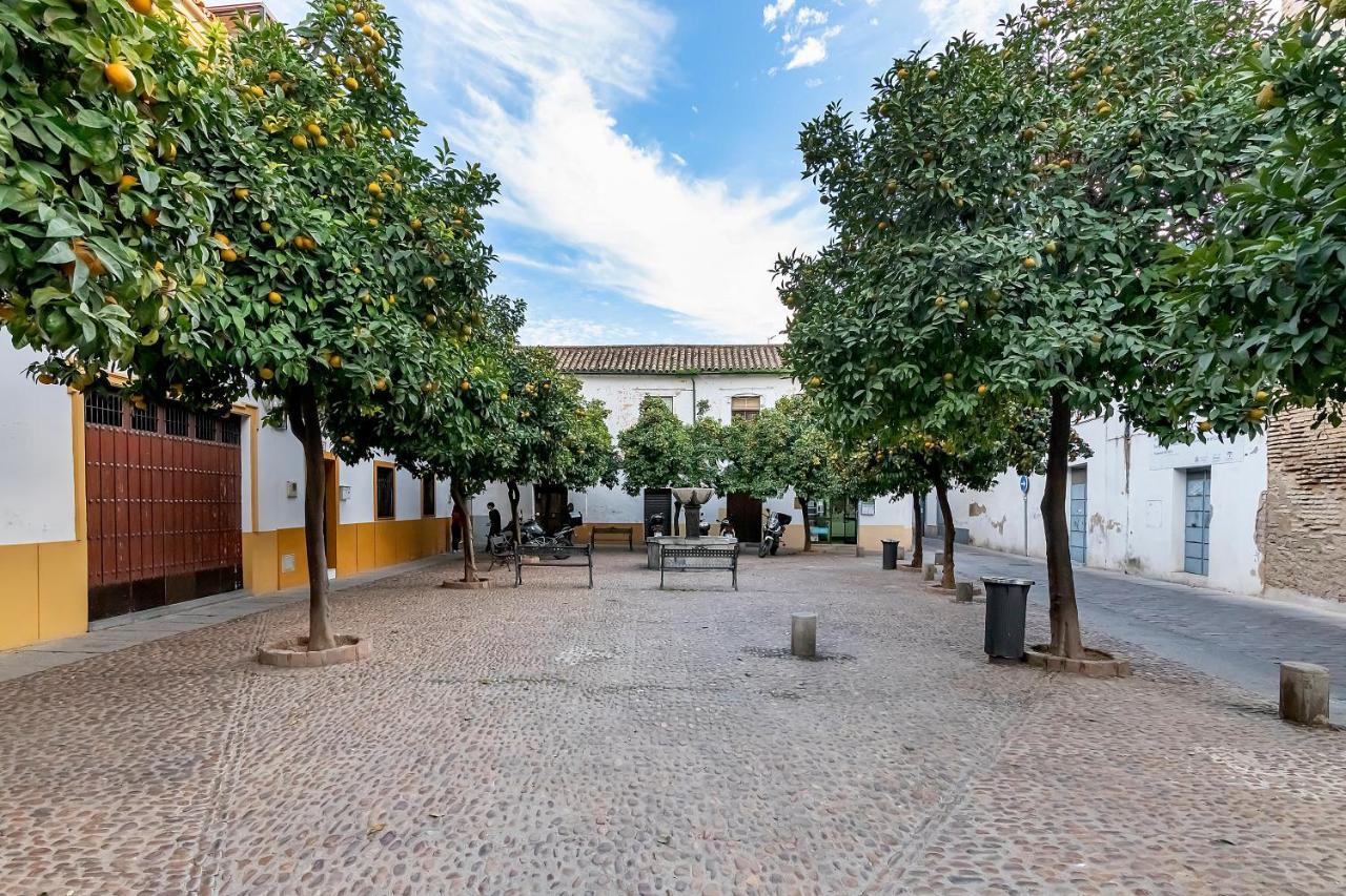 Bhost - Regina V Appartement Córdoba Buitenkant foto